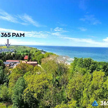 365pam - Limonka - Parking W Cenie *