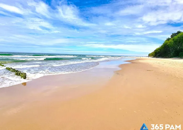 365pam - Limonka - Parking W Cenie *