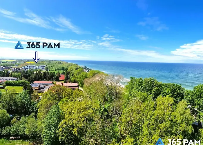 365pam - Limonka - Parking W Cenie *