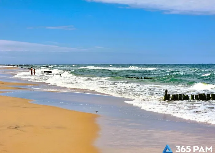 365pam - Limonka - Parking W Cenie Gąski